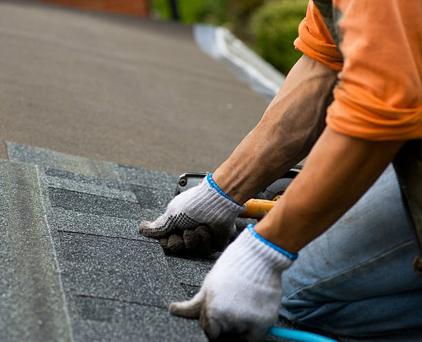 Best Roof Gutter Cleaning  in Bremen, IN
